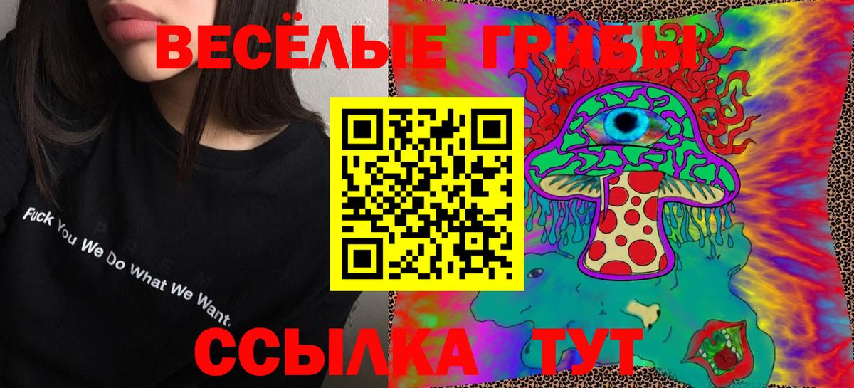 Александров  наркошоп  Вход с VPN  Псилоцибиновые грибы Cubensis 