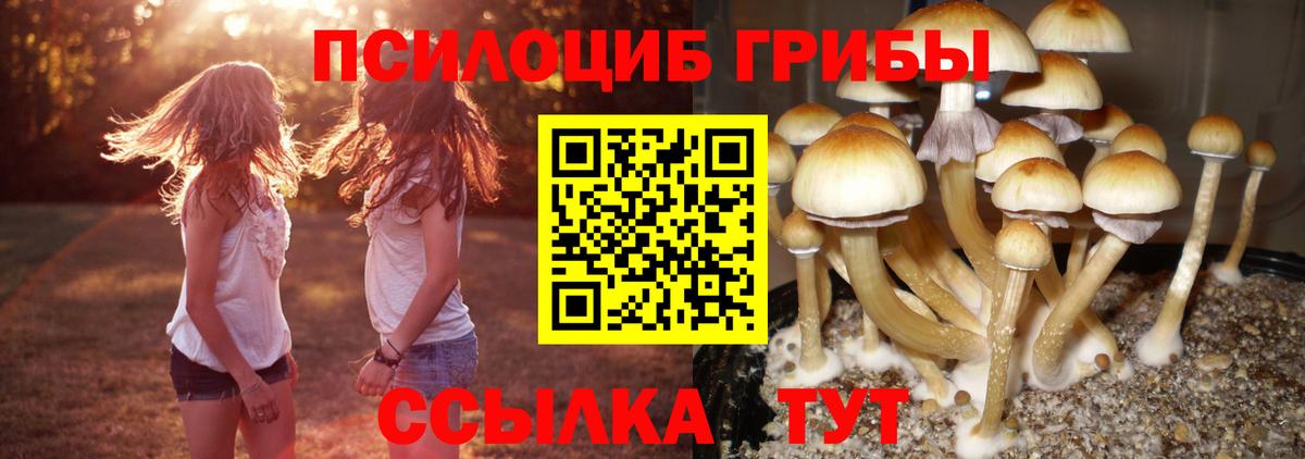 Галлюциногенные грибы прущие грибы Александров